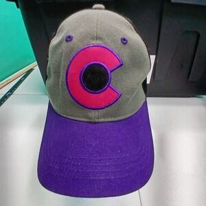 Colorado Trucker Hat OSFM Purple Grey Black State Pride Gorpcore Snapback Cap